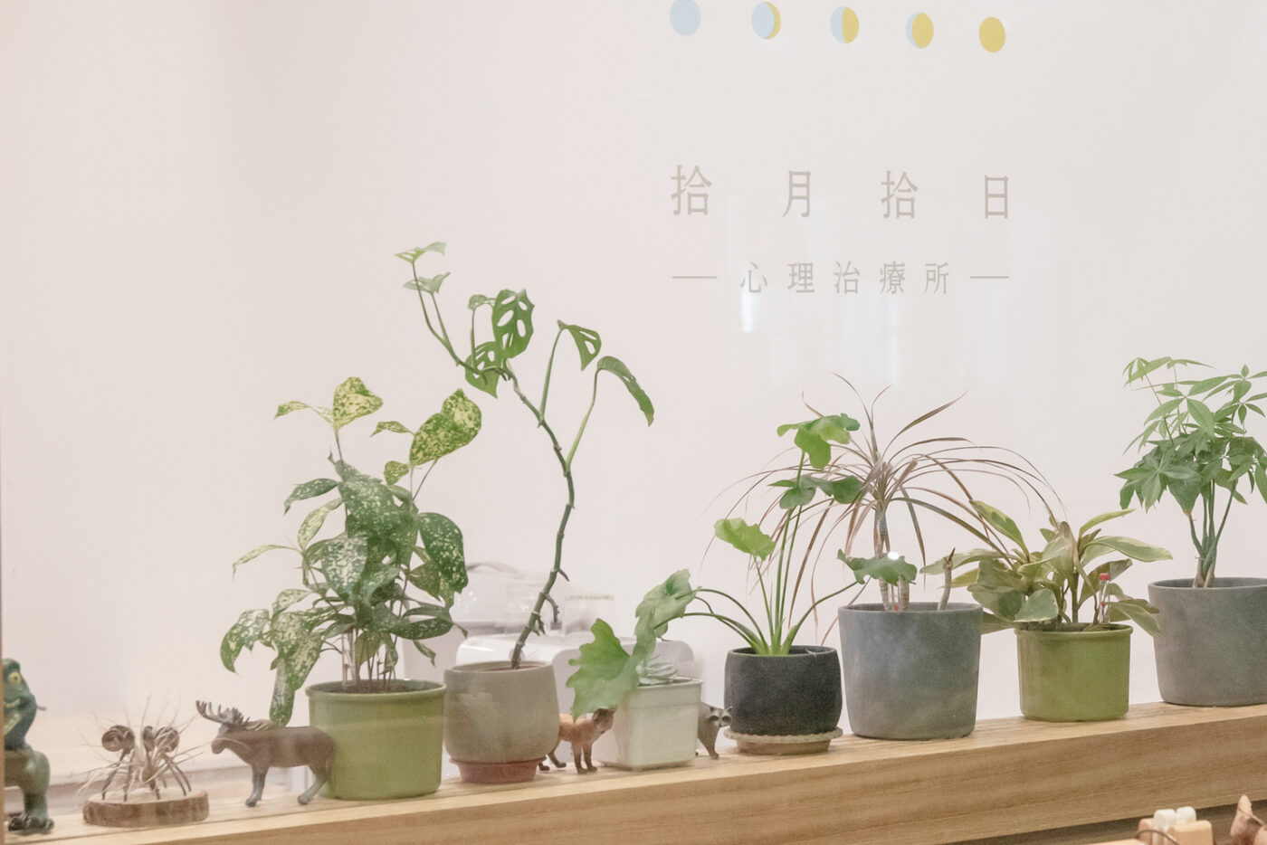 心理諮商服務項目與收費說明